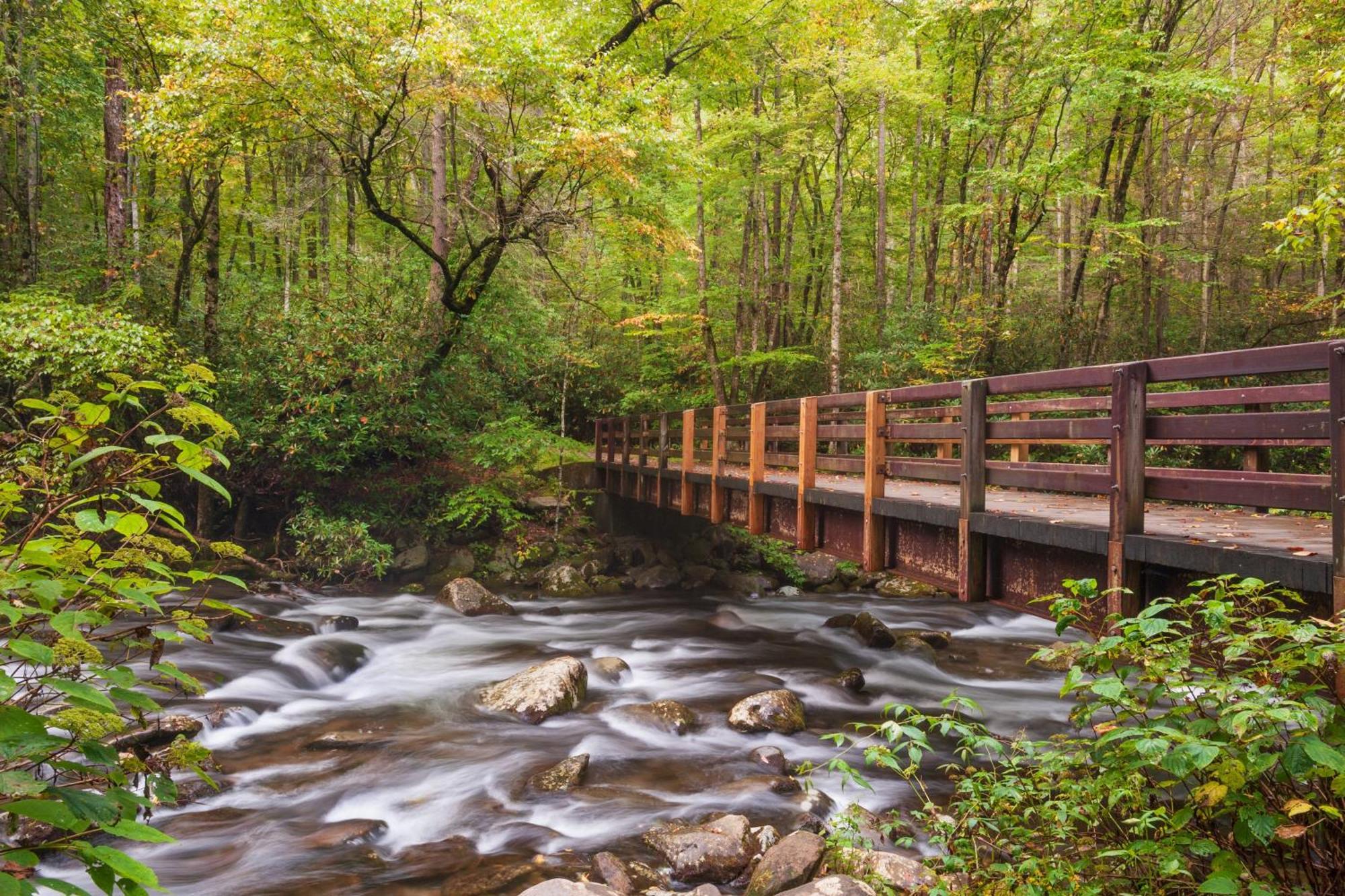 Amazing Grace-1089 Of Free Area Attraction Tickets For Each Paid Day!!! Villa Sevierville Eksteriør billede